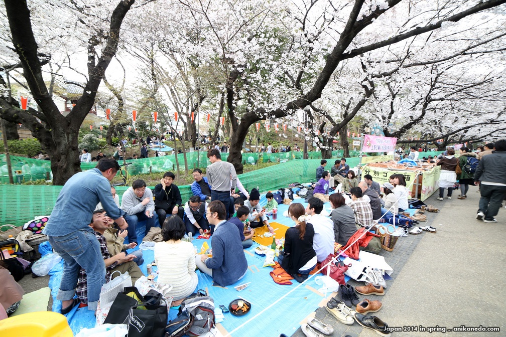 japan_spring_2014_141.jpg