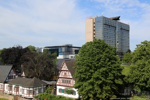 ANK Hanami 2024 049