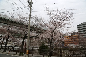 japan spring 2014 112