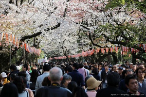 japan spring 2014 129
