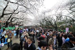 japan spring 2014 139